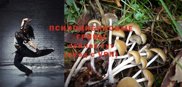 первитин Балахна