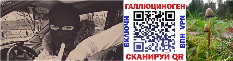 Купить  Уварово  Псилоцибиновые грибы Psilocybe 