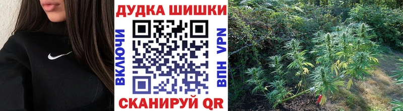Купить где  Уварово  Каннабис OG Kush 